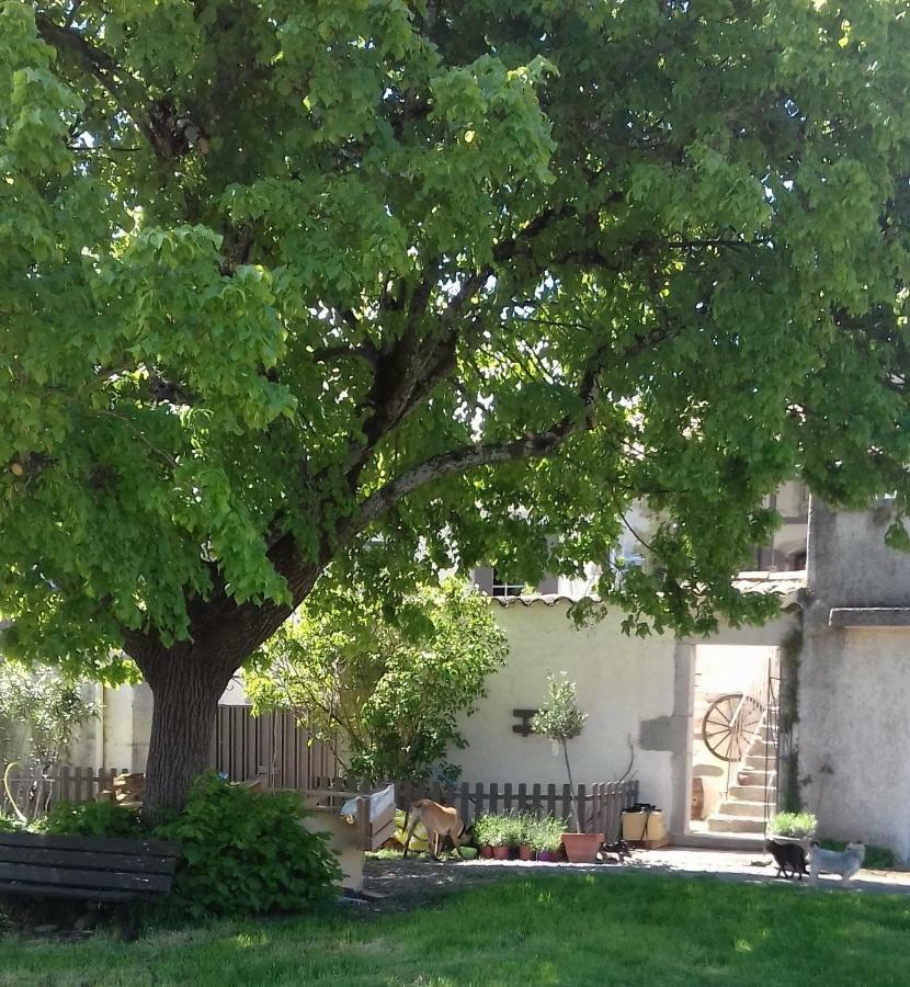 Le Patio Aux Hirondelles Villa Lagorce  Exterior foto